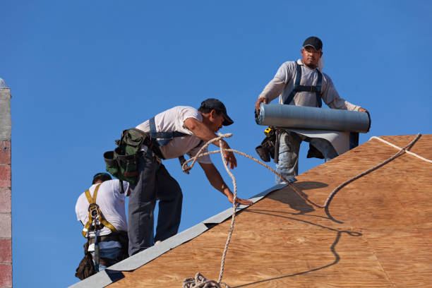 Best Roof Waterproofing Services  in Waterflow, NM